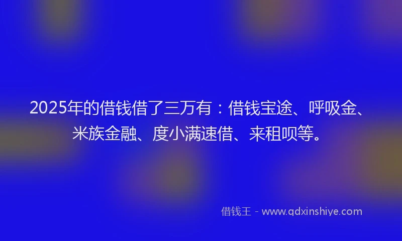 2025年的借钱借了三万有：借钱宝途、呼吸金、米族金融、度小满速借、来租呗等。