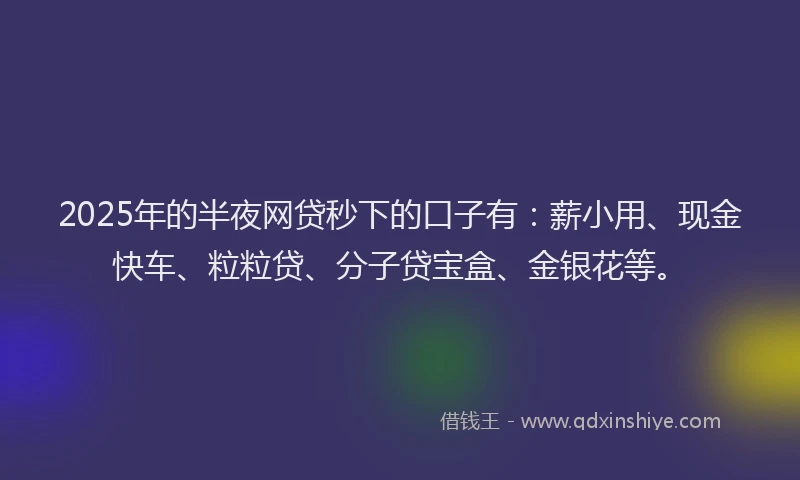 2025年的半夜网贷秒下的口子有：薪小用、现金快车、粒粒贷、分子贷宝盒、金银花等。