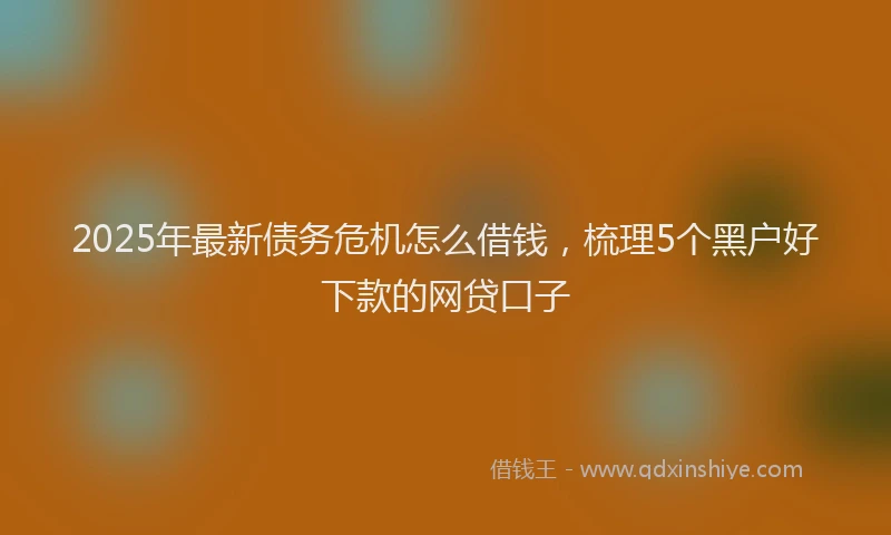 2025年最新债务危机怎么借钱，梳理5个黑户好下款的网贷口子