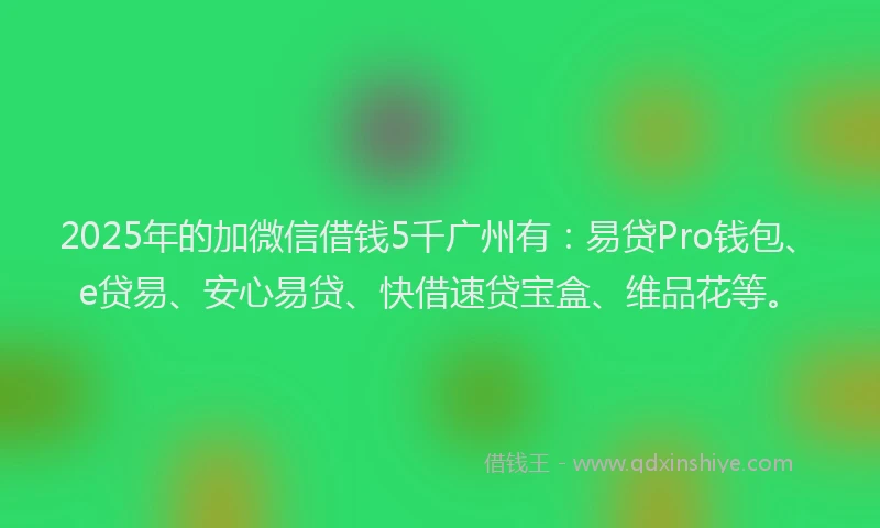 2025年的加微信借钱5千广州有：易贷Pro钱包、e贷易、安心易贷、快借速贷宝盒、维品花等。