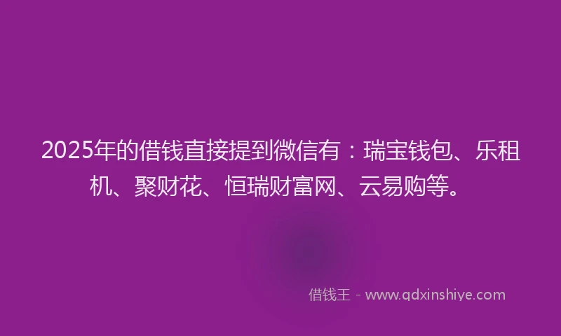 2025年的借钱直接提到微信有：瑞宝钱包、乐租机、聚财花、恒瑞财富网、云易购等。