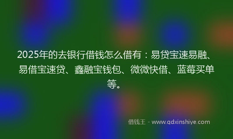 2025年的去银行借钱怎么借有：易贷宝速易融、易借宝速贷、鑫融宝钱包、微微快借、蓝莓买单等。