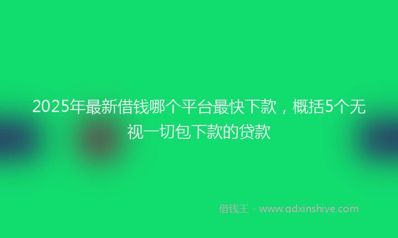 2025年最新借钱哪个平台最快下款，概括5个无视一切包下款的贷款