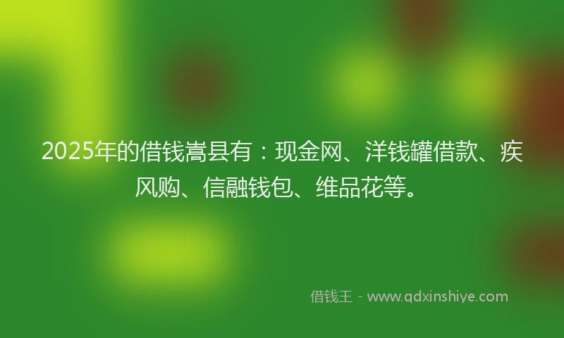 2025年的借钱嵩县有：现金网、洋钱罐借款、疾风购、信融钱包、维品花等。