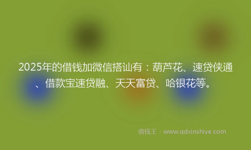2025年的借钱加微信搭讪有：葫芦花、速贷侠通、借款宝速贷融、天天富贷、哈银花等。