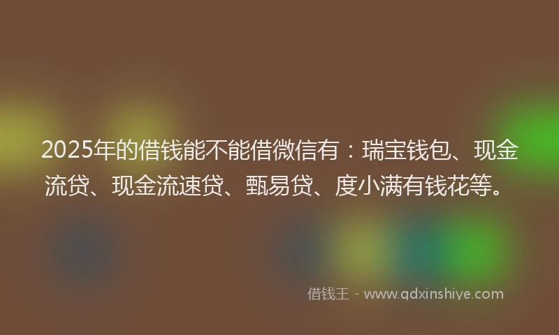 2025年的借钱能不能借微信有：瑞宝钱包、现金流贷、现金流速贷、甄易贷、度小满有钱花等。