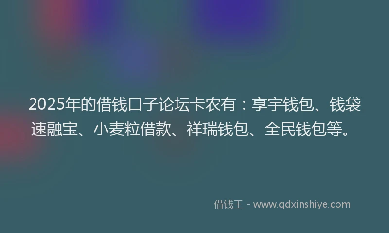 2025年的借钱口子论坛卡农有：享宇钱包、钱袋速融宝、小麦粒借款、祥瑞钱包、全民钱包等。