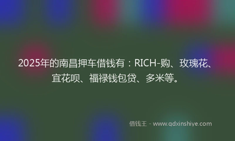 2025年的南昌押车借钱有：RICH-购、玫瑰花、宜花呗、福禄钱包贷、多米等。