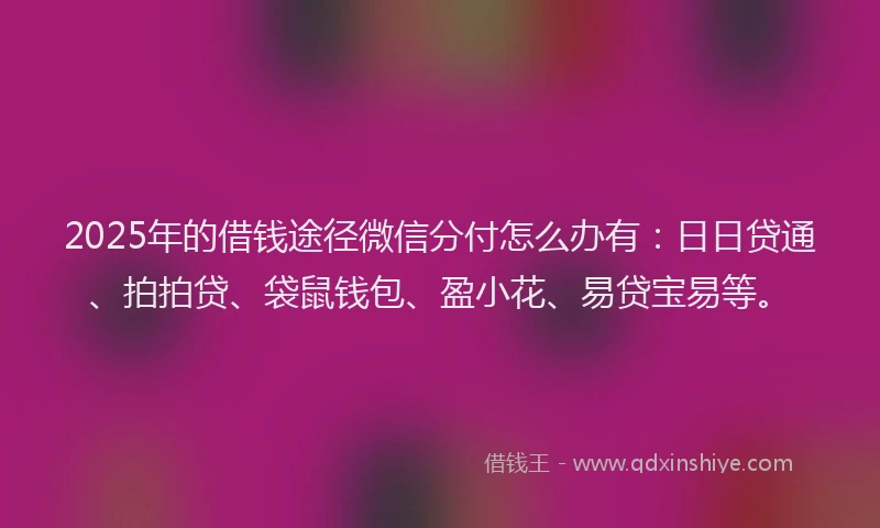 2025年的借钱途径微信分付怎么办有：日日贷通、拍拍贷、袋鼠钱包、盈小花、易贷宝易等。