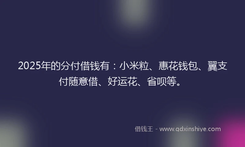 2025年的分付借钱有：小米粒、惠花钱包、翼支付随意借、好运花、省呗等。