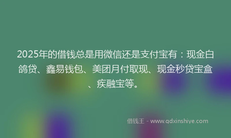 2025年的借钱总是用微信还是支付宝有：现金白鸽贷、鑫易钱包、美团月付取现、现金秒贷宝盒、疾融宝等。