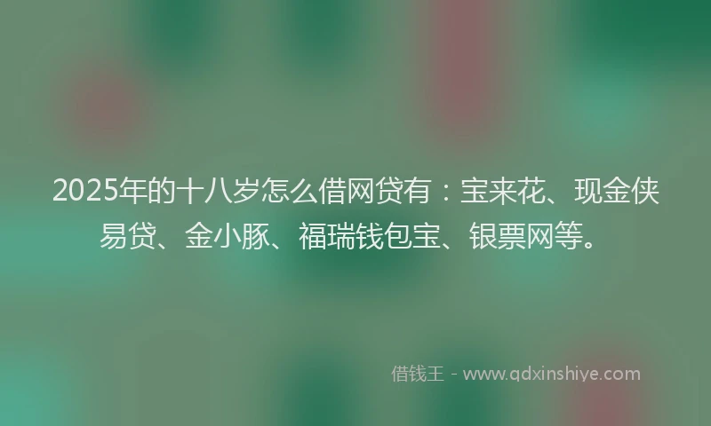 2025年的十八岁怎么借网贷有：宝来花、现金侠易贷、金小豚、福瑞钱包宝、银票网等。