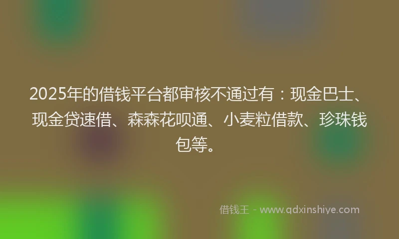 2025年的借钱平台都审核不通过有：现金巴士、现金贷速借、森森花呗通、小麦粒借款、珍珠钱包等。