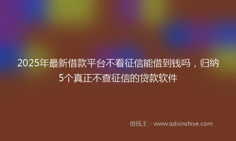 2025年最新借款平台不看征信能借到钱吗，归纳5个真正不查征信的贷款软件