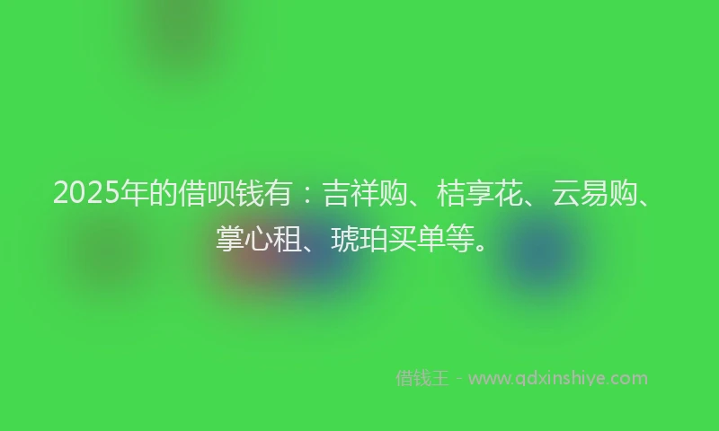 2025年的借呗钱有：吉祥购、桔享花、云易购、掌心租、琥珀买单等。