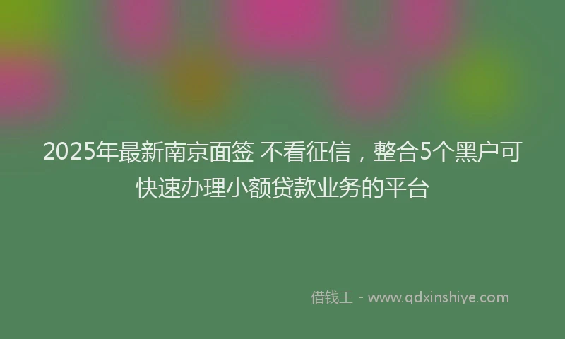 2025年最新南京面签 不看征信，整合5个黑户可快速办理小额贷款业务的平台