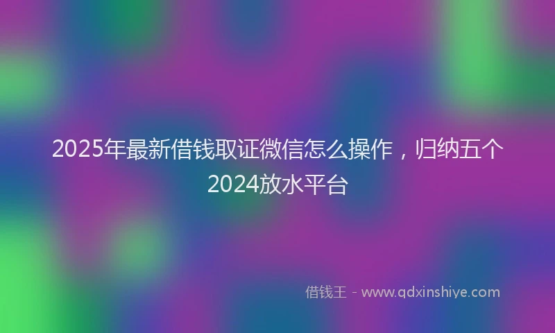 2025年最新借钱取证微信怎么操作，归纳五个2024放水平台