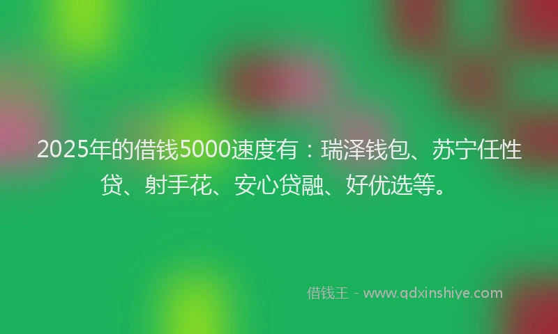 2025年的借钱5000速度有：瑞泽钱包、苏宁任性贷、射手花、安心贷融、好优选等。