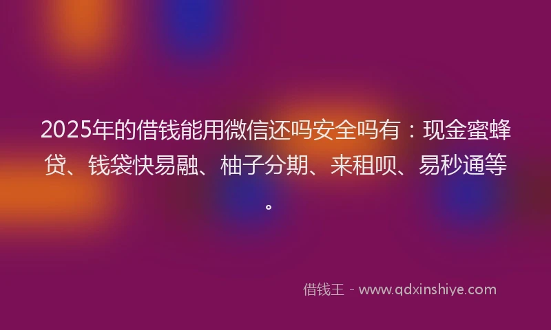 2025年的借钱能用微信还吗安全吗有：现金蜜蜂贷、钱袋快易融、柚子分期、来租呗、易秒通等。