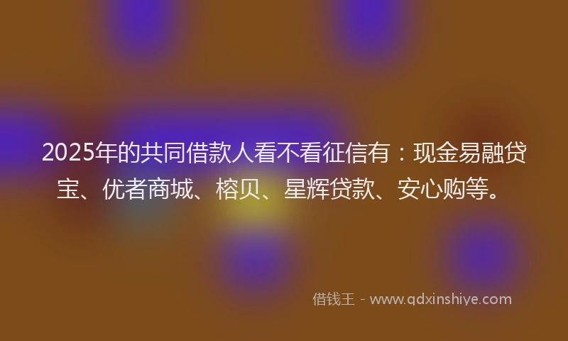 2025年的共同借款人看不看征信有：现金易融贷宝、优者商城、榕贝、星辉贷款、安心购等。