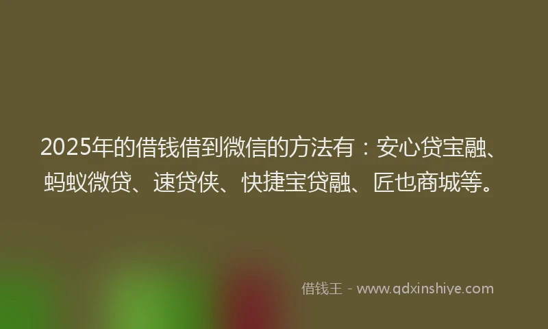 2025年的借钱借到微信的方法有：安心贷宝融、蚂蚁微贷、速贷侠、快捷宝贷融、匠也商城等。