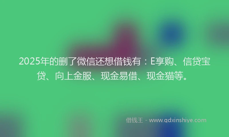 2025年的删了微信还想借钱有：E享购、信贷宝贷、向上金服、现金易借、现金猫等。