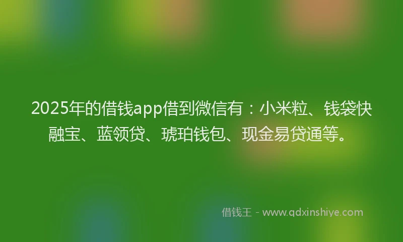 2025年的借钱app借到微信有：小米粒、钱袋快融宝、蓝领贷、琥珀钱包、现金易贷通等。