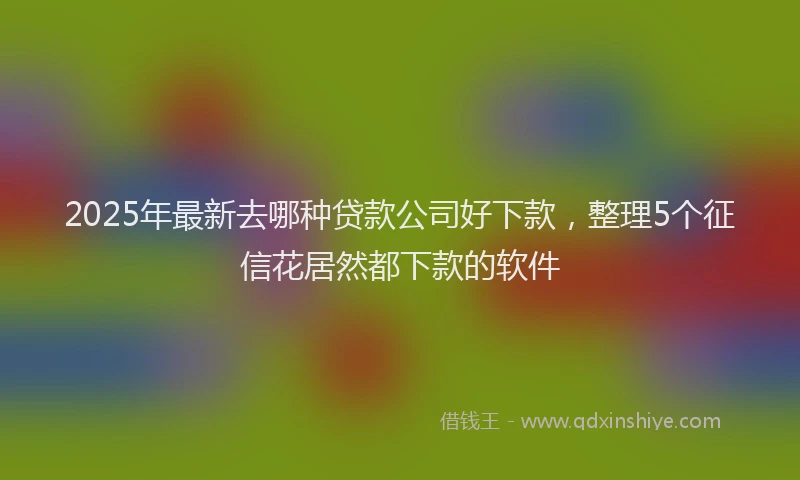 2025年最新去哪种贷款公司好下款，整理5个征信花居然都下款的软件