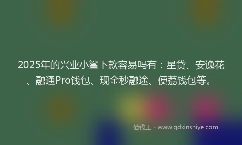 2025年的兴业小鲨下款容易吗有：星贷、安逸花、融通Pro钱包、现金秒融途、便荔钱包等。