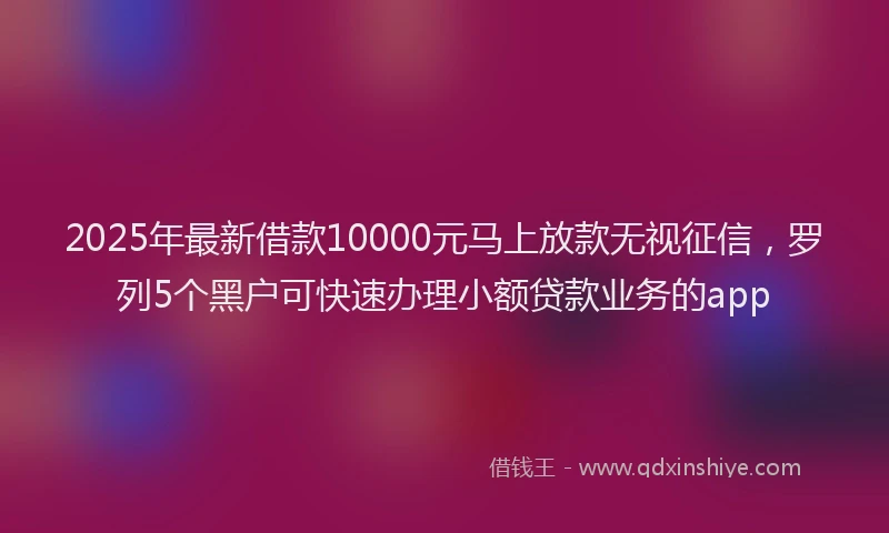 2025年最新借款10000元马上放款无视征信，罗列5个黑户可快速办理小额贷款业务的app