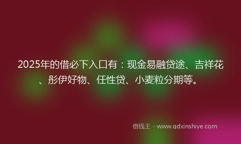 2025年的借必下入口有：现金易融贷途、吉祥花、彤伊好物、任性贷、小麦粒分期等。