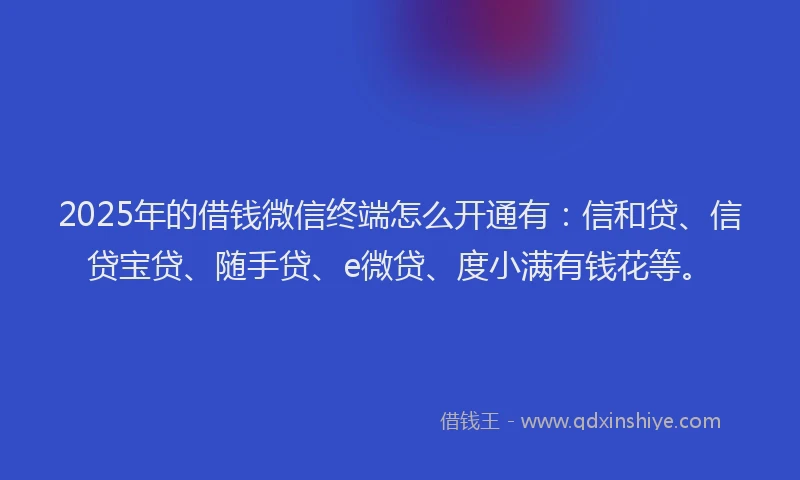 2025年的借钱微信终端怎么开通有：信和贷、信贷宝贷、随手贷、e微贷、度小满有钱花等。