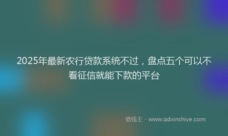 2025年最新农行贷款系统不过，盘点五个可以不看征信就能下款的平台