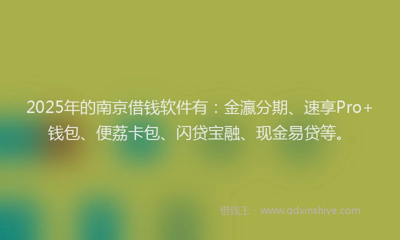 2025年的南京借钱软件有：金瀛分期、速享Pro+钱包、便荔卡包、闪贷宝融、现金易贷等。