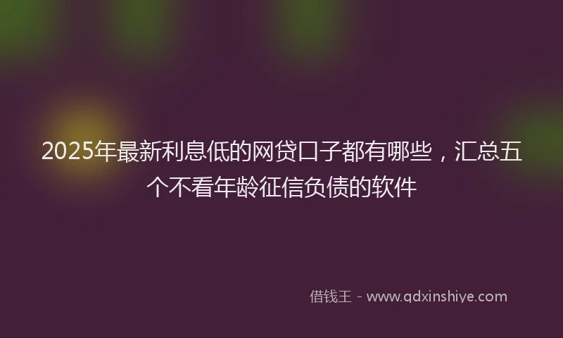 2025年最新利息低的网贷口子都有哪些，汇总五个不看年龄征信负债的软件