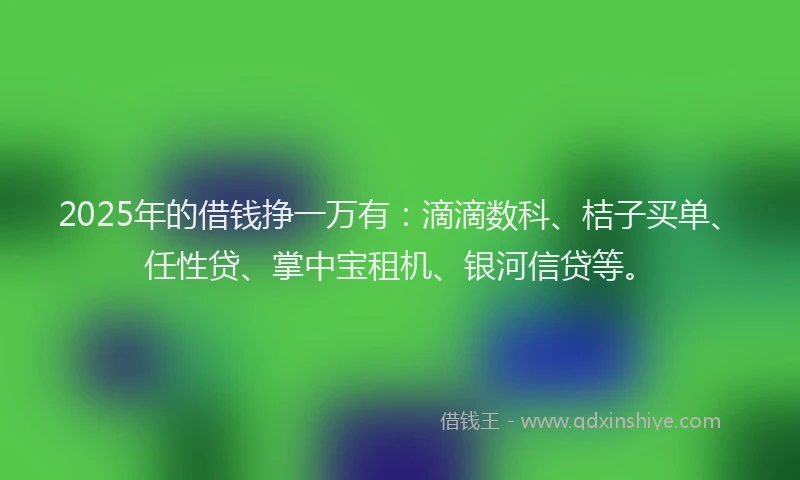 2025年的借钱挣一万有：滴滴数科、桔子买单、任性贷、掌中宝租机、银河信贷等。