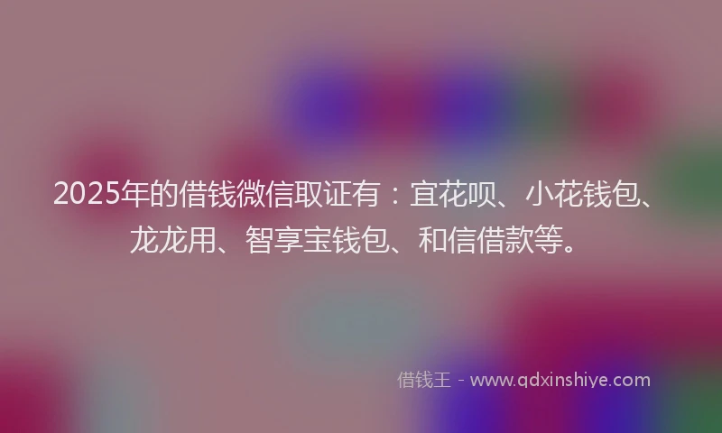 2025年的借钱微信取证有：宜花呗、小花钱包、龙龙用、智享宝钱包、和信借款等。