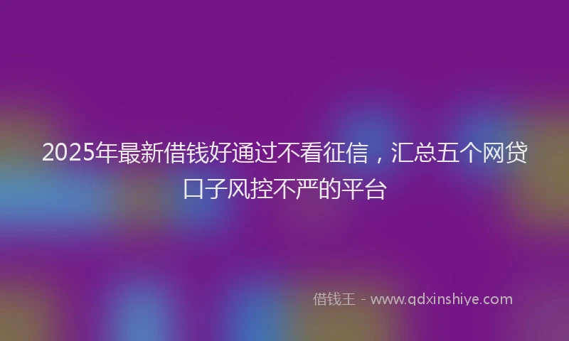 2025年最新借钱好通过不看征信，汇总五个网贷口子风控不严的平台