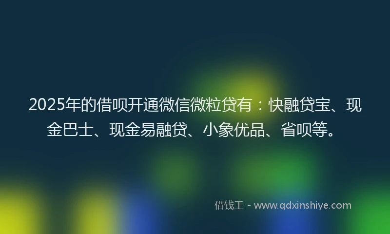 2025年的借呗开通微信微粒贷有：快融贷宝、现金巴士、现金易融贷、小象优品、省呗等。