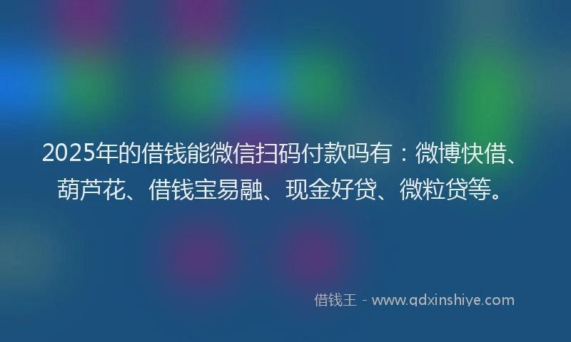 2025年的借钱能微信扫码付款吗有：微博快借、葫芦花、借钱宝易融、现金好贷、微粒贷等。
