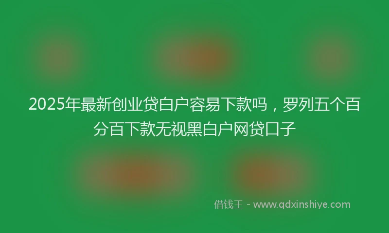 2025年最新创业贷白户容易下款吗，罗列五个百分百下款无视黑白户网贷口子