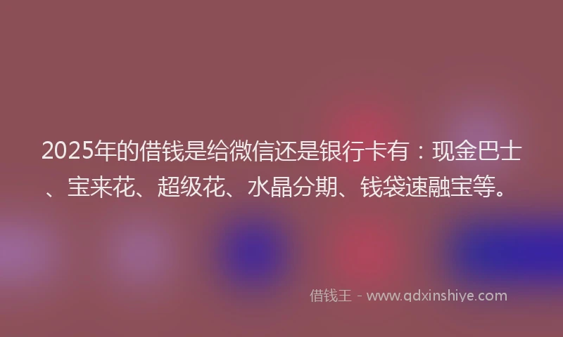 2025年的借钱是给微信还是银行卡有：现金巴士、宝来花、超级花、水晶分期、钱袋速融宝等。