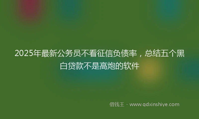2025年最新公务员不看征信负债率，总结五个黑白贷款不是高炮的软件