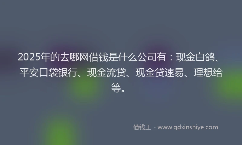 2025年的去哪网借钱是什么公司有：现金白鸽、平安口袋银行、现金流贷、现金贷速易、理想给等。
