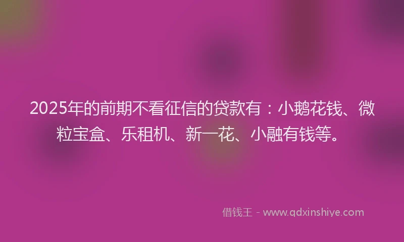 2025年的前期不看征信的贷款有：小鹅花钱、微粒宝盒、乐租机、新一花、小融有钱等。