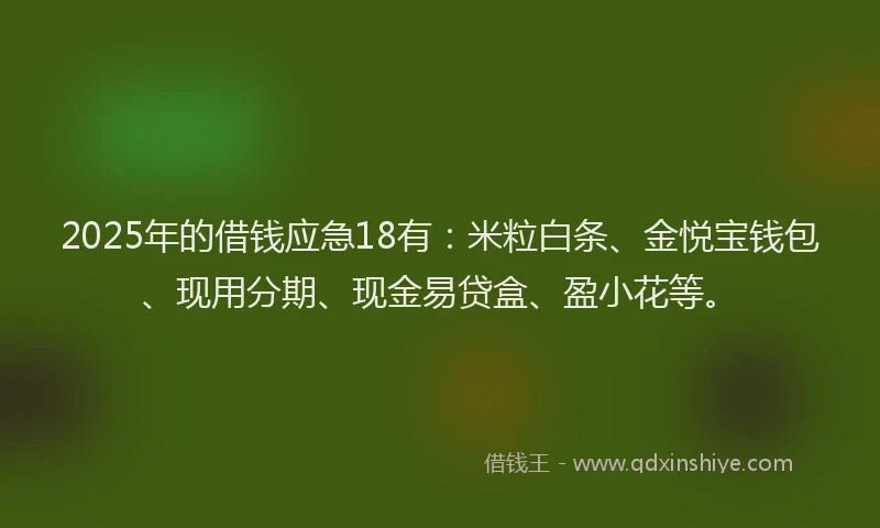 2025年的借钱应急18有：米粒白条、金悦宝钱包、现用分期、现金易贷盒、盈小花等。