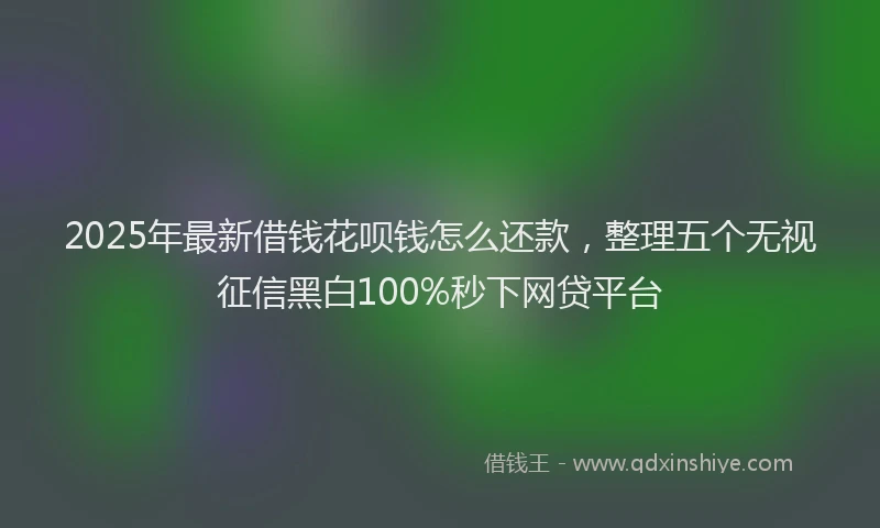 2025年最新借钱花呗钱怎么还款，整理五个无视征信黑白100%秒下网贷平台