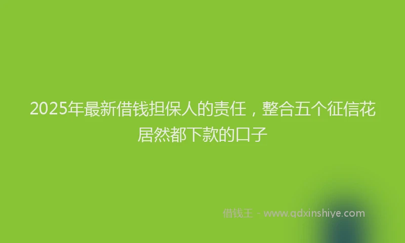 2025年最新借钱担保人的责任，整合五个征信花居然都下款的口子