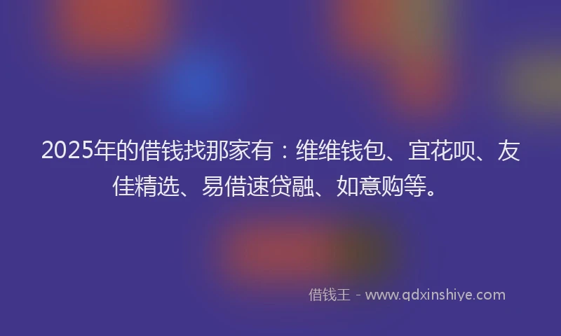 2025年的借钱找那家有：维维钱包、宜花呗、友佳精选、易借速贷融、如意购等。