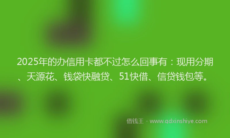 2025年的办信用卡都不过怎么回事有：现用分期、天源花、钱袋快融贷、51快借、信贷钱包等。